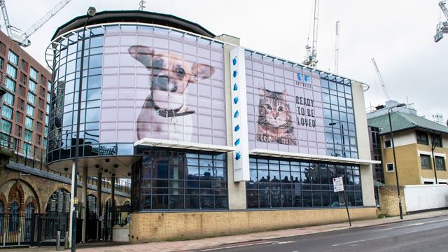 Battersea Dogs & Cats home exterior with pictures of a dog and cat.