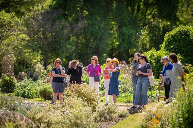 A group of people stand among plants and bushes in the Chelsea Physic Garden.