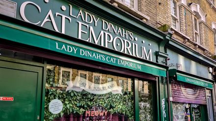 Cosy up to some furry feline friends over coffee and cake at Lady Dinah’s Cat Emporium. Credit: Shutterstock. Image courtesy of Shutterstock.