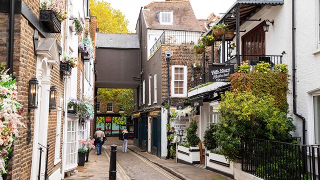 A narrow, cobbled street with houses either side, decorated with flowers and shrubs.