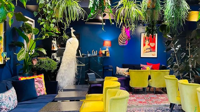 A vibrant lounge area decorated in blue and yellow with a peacock and plants