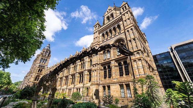 A dinosaur skeleton in the garden of the Natural History Museum on a sunny day
