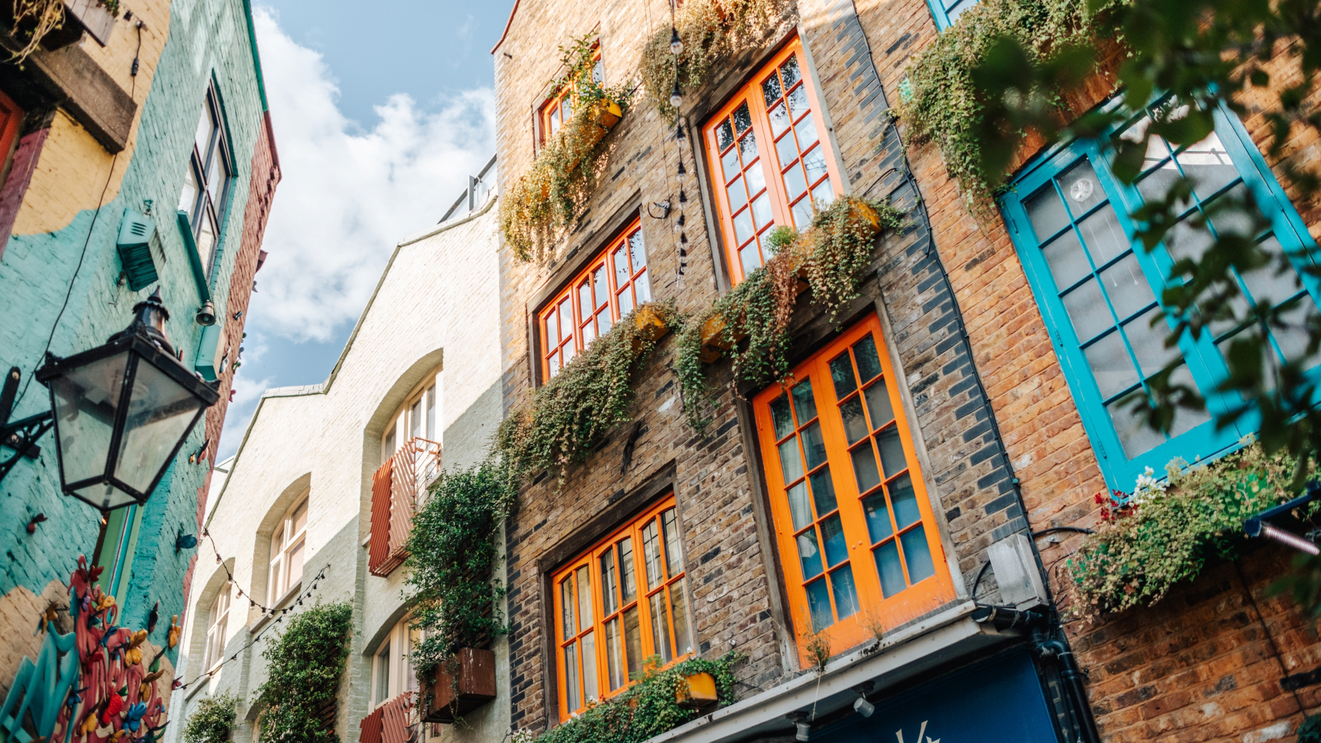 A photo of the colourful buildings at Neal's Yard with planters and trailing plants hanging from the windows on a bright sunny day