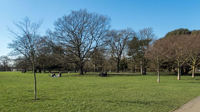 Panoramic view of Peckham Rye Park in London, showcasing lush greenery and tranquil pathways on a sunny day.