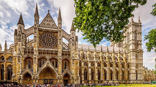 Westminster Abbey an einem sonnigen Tag mit Ästen im Vordergrund.