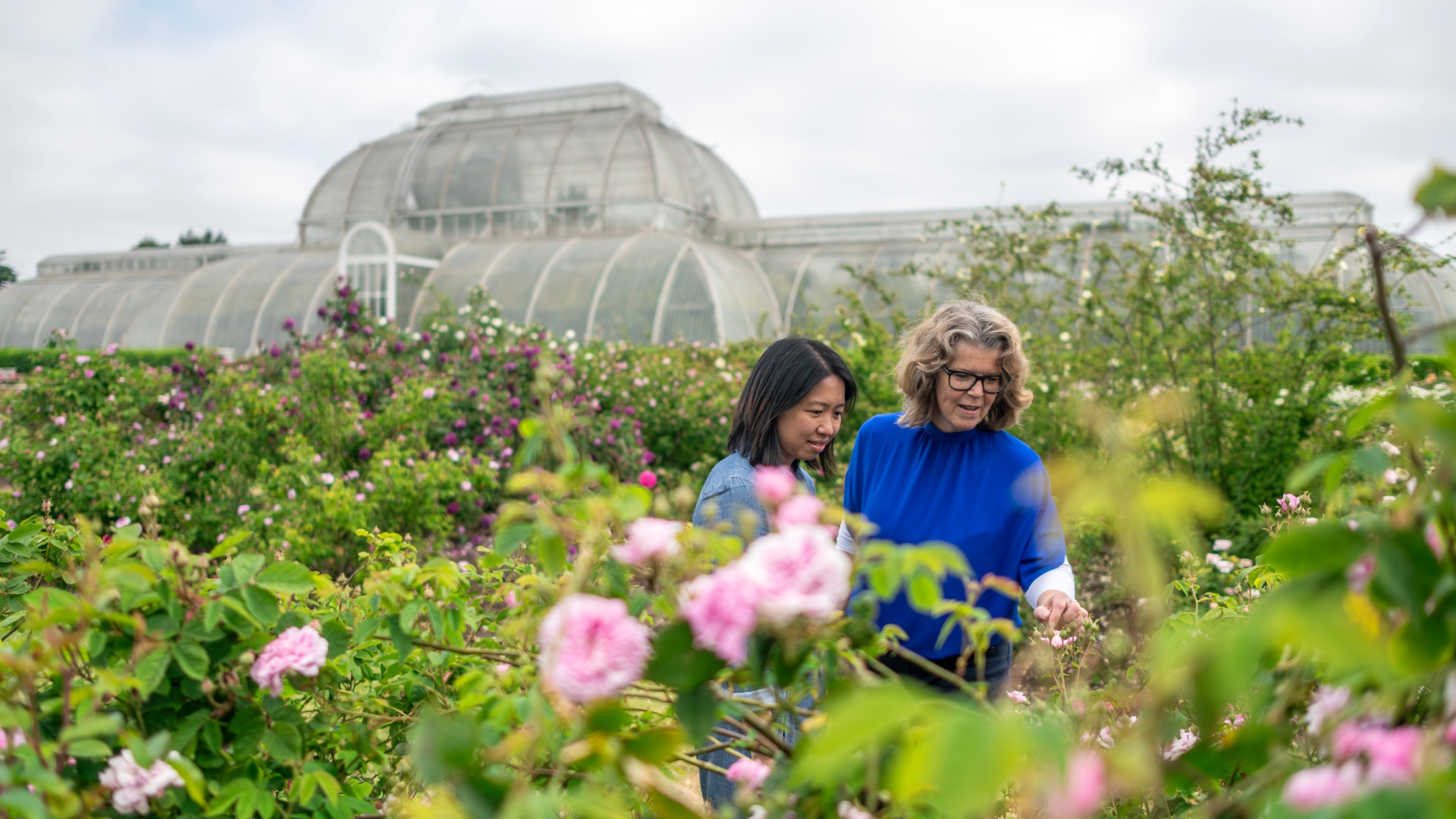 The Temperate Greenhouse at Kew Gardens. Image courtesy of London & Partners/Michael Barrow. Two women admire flowers at Kew Gardens