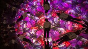 Une personne se tient au centre d'une exposition immersive aux couleurs roses et violettes éclatantes.