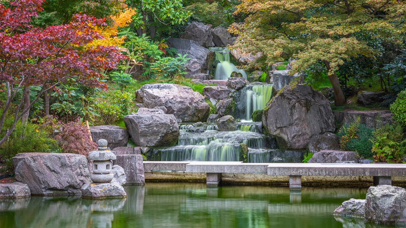 Pause in the breathtaking Kyoto Garden in Holland Park. Image courtesy of Shutterstock. The waterfall in Kyoto Garden