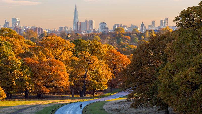 A view from Richmond Park showing central London's skyline, autumn colours and a cyclist.