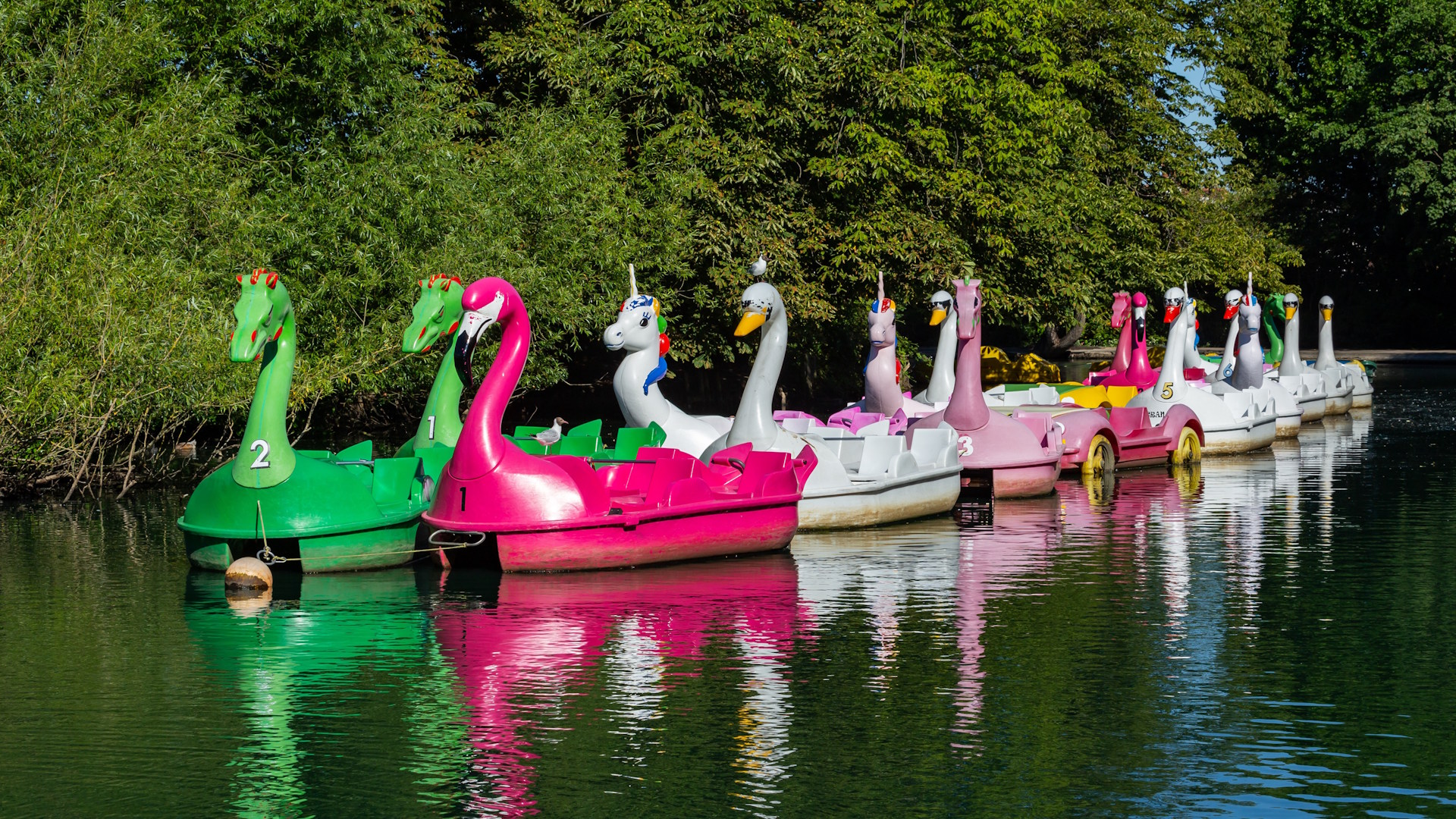 Choose from one of the colourful boats at Alexandra Palace boating lake. Credit: Shutterstock. Image courtesy of Shutterstock. Colourful boats on the water at Alexandra Palace boating lake on a sunny day in London.