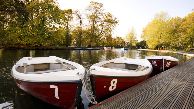 Exploring London's Waterways: The Ultimate Boat Tour Experience - Wildlife and Nature Exploration
