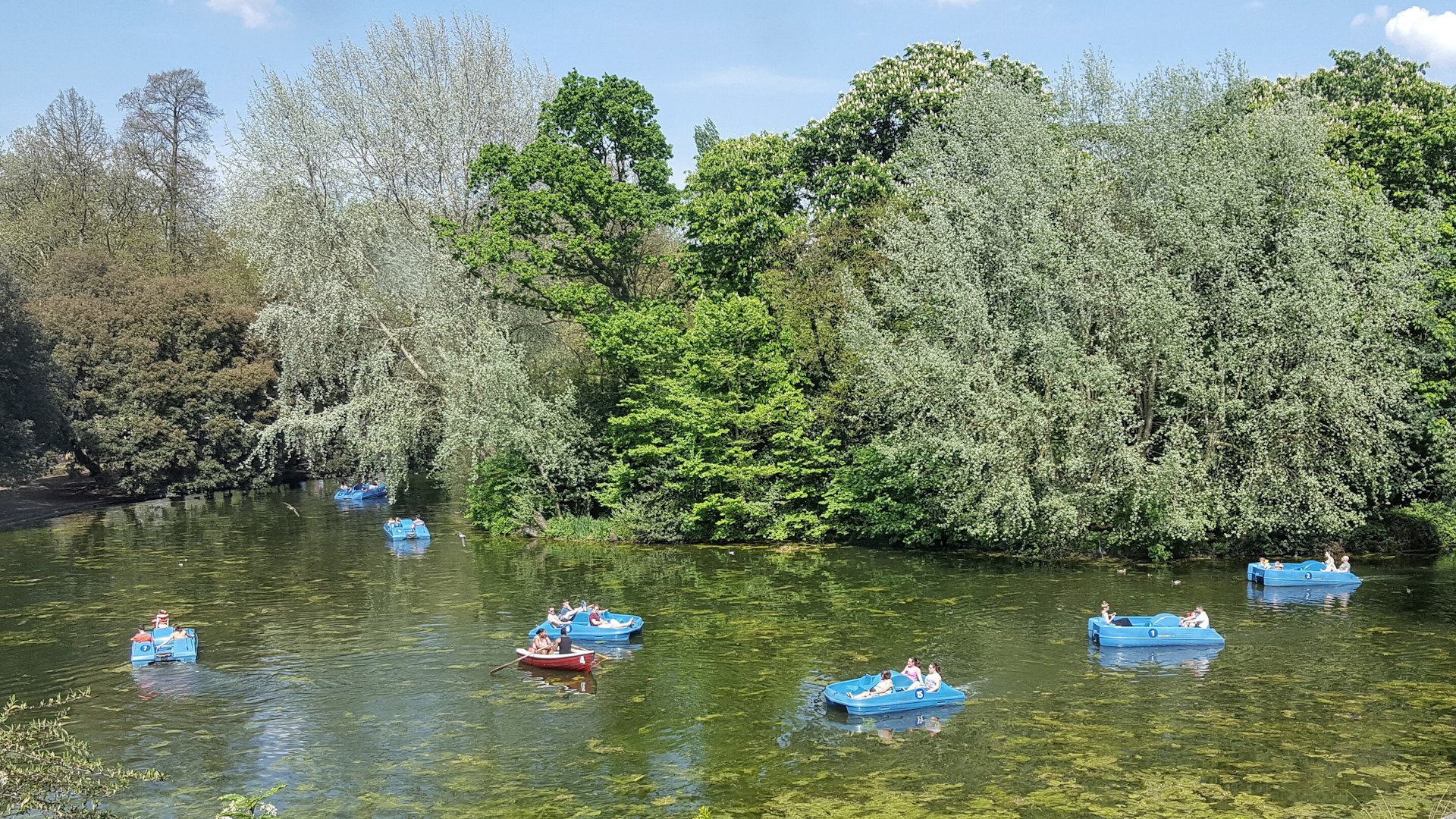 Admire the lush surroundings as you boat around the lake at Battersea Park . Credit: Shutterstock. Image courtesy of Shutterstock. Small blue boats float on a tranquil lake surrounded by large trees.
