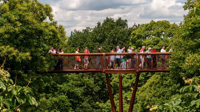 People walk along the steel walkway at Kew Gardens surrounded by green trees
