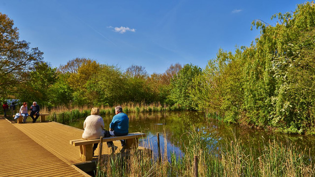 People sitting on benches and looking into Peg's Pond in Richmond Park on a sunny day.