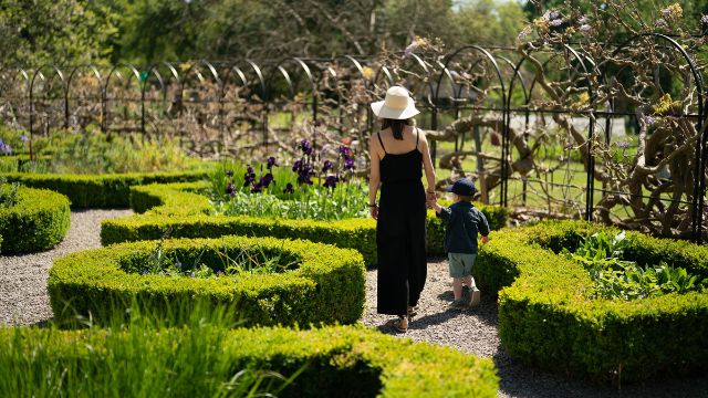 Promenez-vous à Fulham Palace et visitez les jardins Knot Gardens. © Marcus-Dawes/Fulham Palace House and Garden. Une femme tient la main d'un enfant de bas âge et se promène à travers les jardins du palais de Fulham.