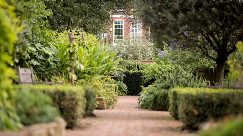 Explore the idyllic Chelsea Physic Garden, one of London's most charming hidden gems. Image courtesy of Chelsea Physic Garden. Chelsea Physic Garden path, plants and trees with red-brick house in the background.