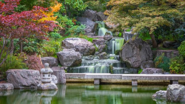 Découvrez les paisibles jardins de Kyoto situés au coeur de Holland Park, près de Notting Hill. Image fournie par Shutterstock. Les jardins de Kyoto à Holland Park sont bordés de bassins d'eau et de cascades au milieu de la verdure.