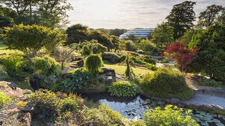 Garden Vista at RHS Garden Wisley. Image courtesy of RHS Garden Wisley, credits: Richard Bloom