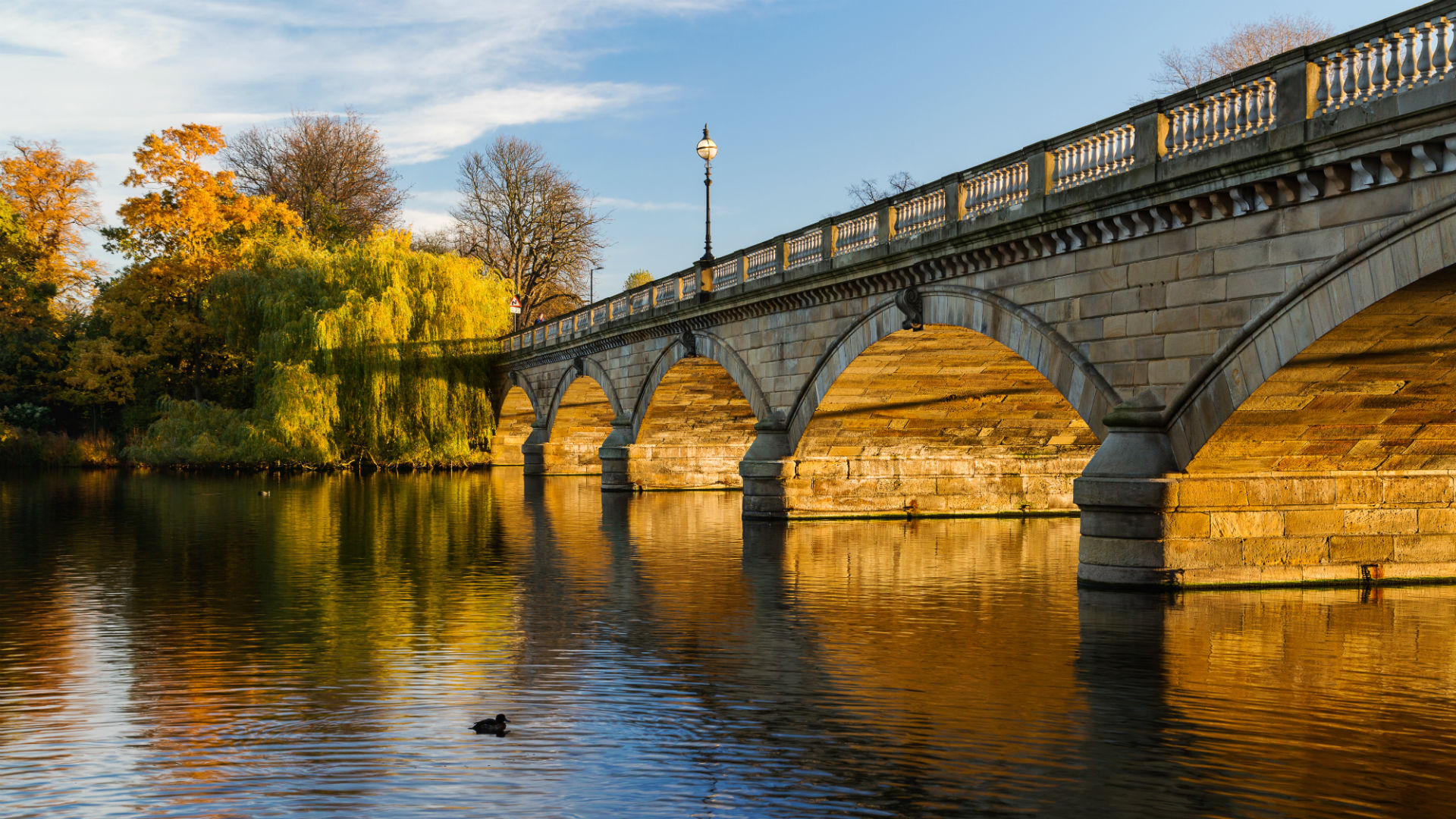 A bridge over the Serpentine lake at Hyde Park. Copyright: visitlondon.com/Jon Reid. Image courtesy of Jon Reid. Autumn sun shines over Hyde Park