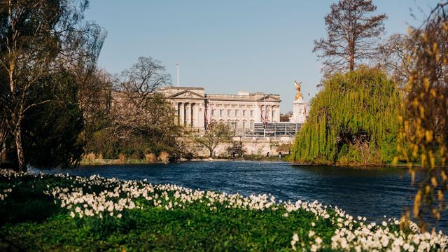 A view across the lake in St James's Park with Buckingham Palace in the background and spring flowers in the foreground, on a clear day.