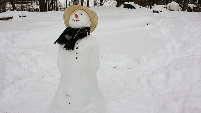 A snowperson. Photo by R K on Unsplash. A snowperson wearing a staw hat and a scraf, with a carrot nose and buttons, with snow in the background.