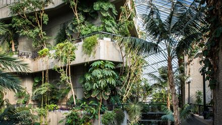 A concrete wall covered in plants. Credit: Max Colson. Image courtesy of Barbican. 