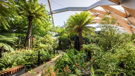 A path through the garden. Credit: Sean Pollock. Image courtesy of Canary Wharf Group.