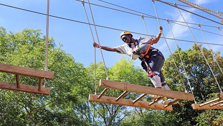 Climb through the tree tops on the High Rope courses at Gripped London. Image courtesy of Golden Tours. Climb through the tree tops on the High Rope courses at Gripped London. Image courtesy of Golden Tours.