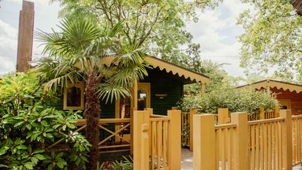 Parakeet lodge. Credit: London Zoo. Image courtesy of London Zoo.