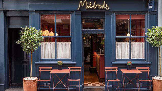 Two small square tables and chairs at the entrance to Mildreds which is painted dark blue with the restaurant name in gold above the door and two standard trees in pots either side of the tables,