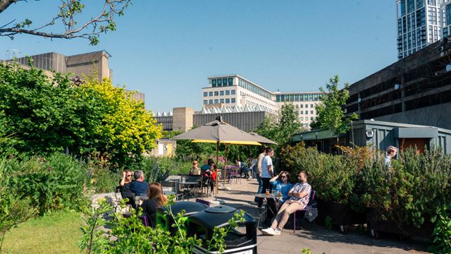 People sitting and relaxing in the Queen Elizabeth Hall Roof Gardens on a sunny day.