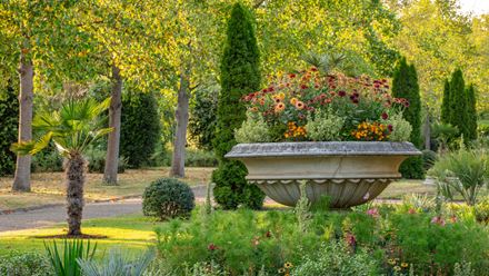 The Avenue Gardens. Credit: Clive Nichols. Image courtesy of The Royal Parks.