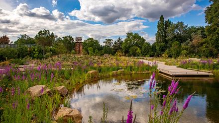 The Queen Elizabeth II Garden. Credit: Clive Nichols. Image courtesy of The Royal Parks.