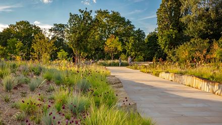 The Queen Elizabeth II Garden. Credit: Clive Nichols. Image courtesy of The Royal Parks.