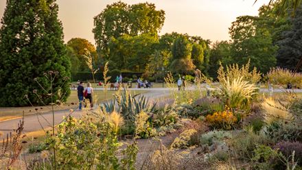 Mediterranean Border, Queen Mary’s Gardens. Credit: Clive Nichols. Image courtesy of The Royal Parks.