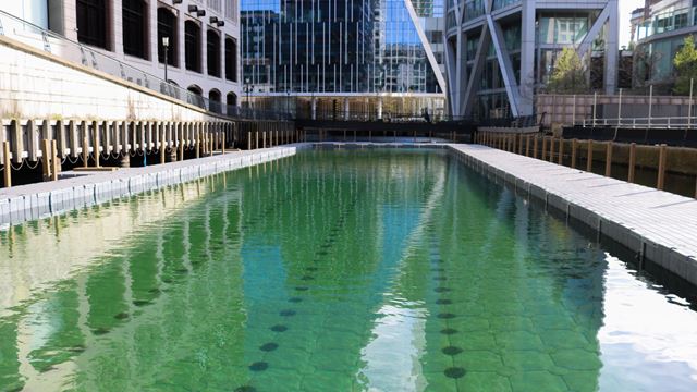 Vertical swimming lanes framed by office buildings.