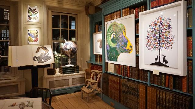 Bookshelves and illustrations on the walls at Shapero Rare Books.