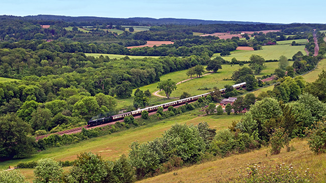 A train travels across a bridge surrounded by greenery.