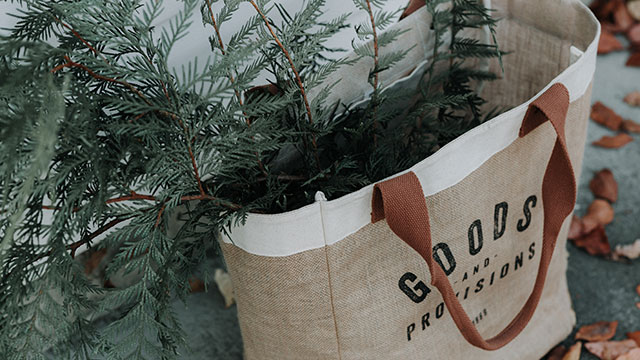 Nachhaltiges Einkaufen © Priscilla du Preez / Unsplash. Bild mit Genehmigung von Priscilla du Preez / Unsplash Eine Einkaufstasche mit einer Pflanze