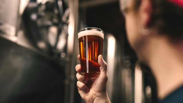 Learn about British beer in a brewery tour in London. Photo by Elevate on Unsplash