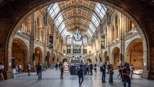 Entrance hall at the London Natural History Museum.