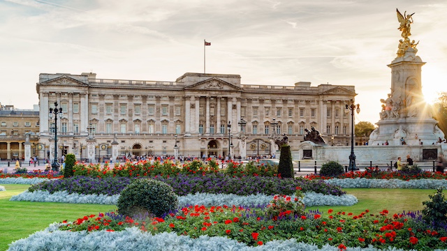 Colourful flowers in front of Buckingham Palace in London on a sunny day.