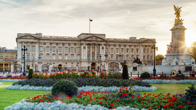 The façade of Buckingham Palace, with flower beds in the foreground, at dusk