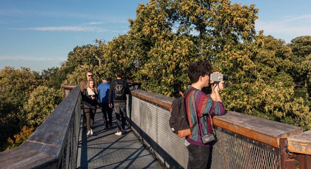 Personen spazieren auf einer der Brücken von Kew Gardens, an einem sonnigen Tag.