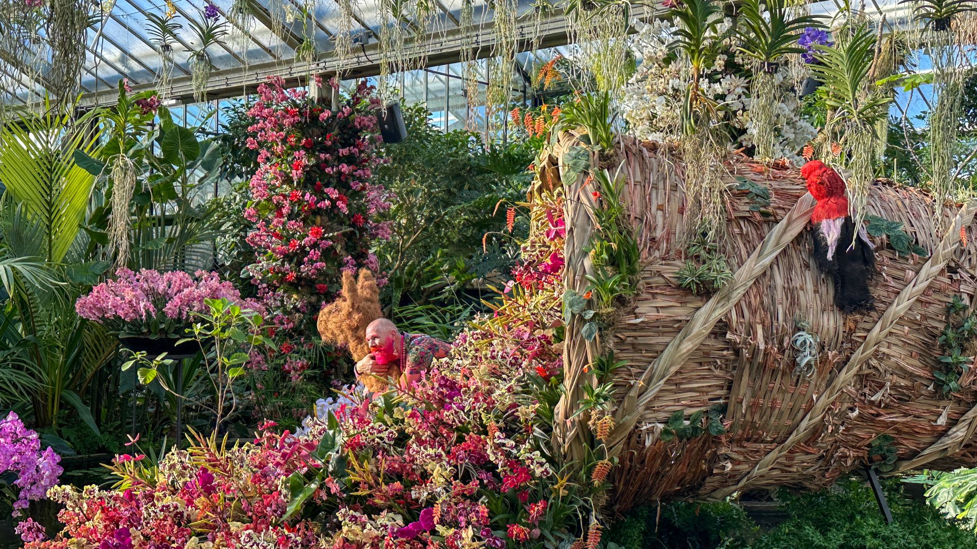 A man with a pink beard hugs a plant alpaca next to a cornucopia at the Kew Gardens orchid festival 2025.