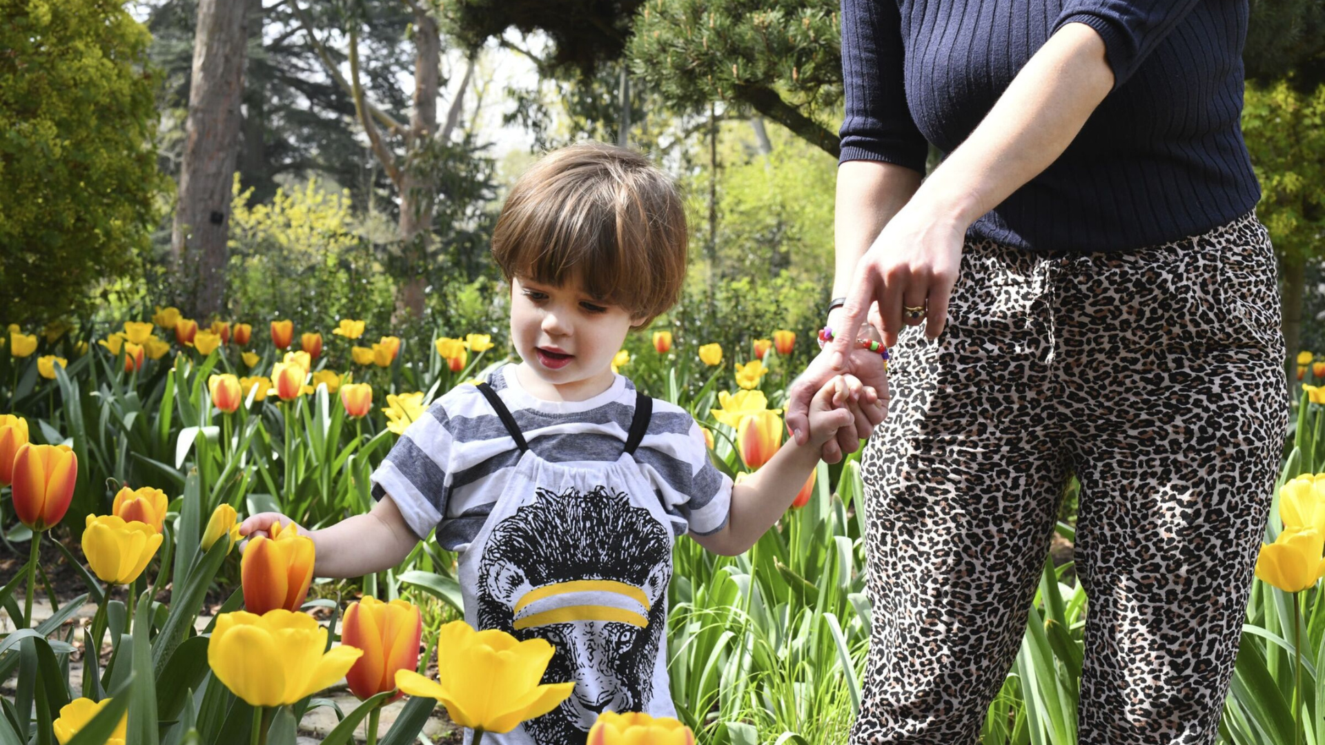 A young toddler in a stripy shirt and dungarees walks past yellow and orange tulips at the Kew Children's Garden in London