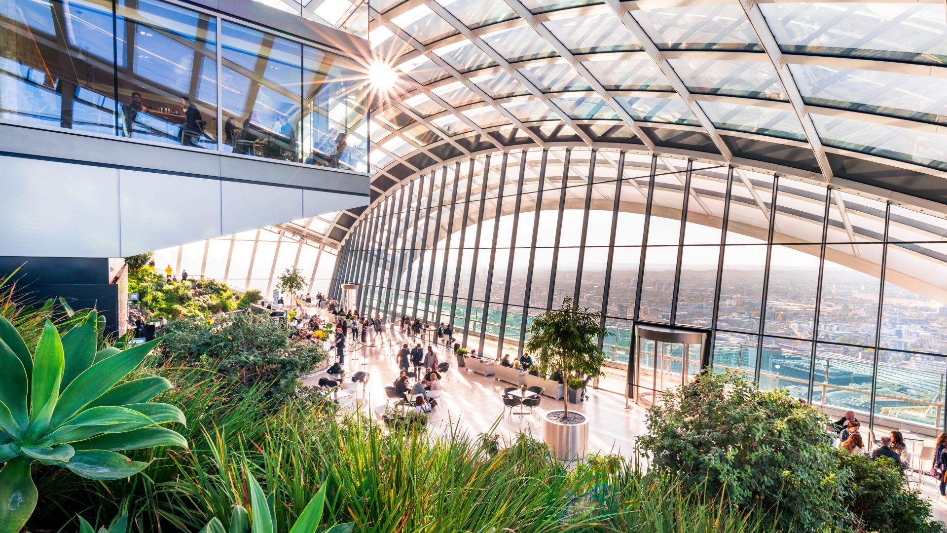 Step into a tropical paradise at London's Sky Garden. Image courtesy of London & Partners/Antoine Buchet. Looking out from behind foliage at the view from a large arching window at Sky Garden.