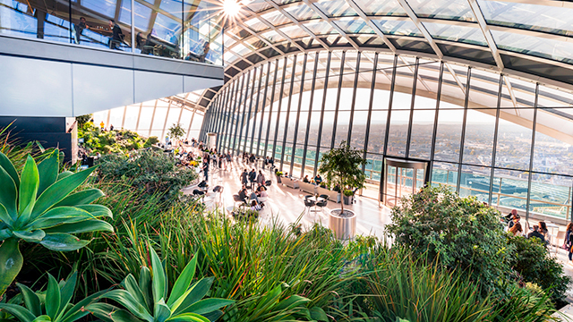 Der Blick aus einem großen gewölbten Fenster im Sky Garden hinter der Grünanlage hervor.