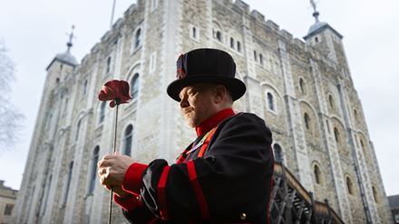 See the moving display of poppies at the Tower of London. Image courtesy of Royal Historic Palaces.