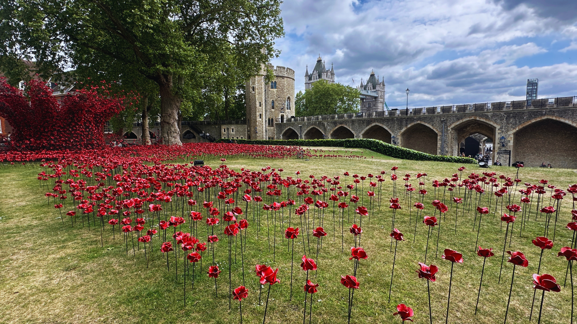 See the moving display of poppies at the Tower of London. Image credit: Visit London/Kirstine Spicer Ceramic poppies spill across the green lawn of the tower of london with tower bridge in the background.